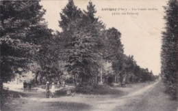 BERRY AUBIGNY SUR NERE Les Grands Jardins ( Allée Des Enfants) - Aubigny Sur Nere