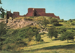 DANEMARK - Bornholm - The Ruined Castle Of Hammerhus - Vue Générale - Carte Postale - Danemark