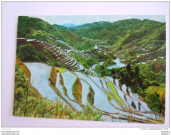 Filipijnen Philippines The World Famous Banaue Rice Terraces Riz - Filippijnen