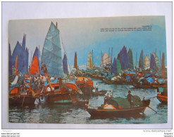 Hong Kong Floating People In Castle Peak Bay N. T. Bateaux - China (Hongkong)