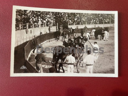 Course De Taureaux - L'Enlèvement Des Victimes - Corrida