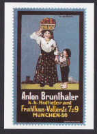 Künstler Ansichtskarte Reklame Werbung Anton Brunthaler Fruchthaus München - Publicité