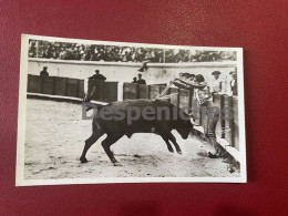 Course De Taureaux - Banderillas à L'Estribo - Corrida