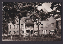 Ansichtskarte Waldbreitbach Rheinland Pfalz Gastronomie Fremdenverkehr Hau S - Sonstige & Ohne Zuordnung