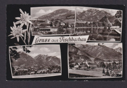 Ansichtskarte Fischbachau Bayern Bayerische Alpen Ab Elbach N. Murnau - Autres & Non Classés