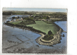 Sarzeau (56) : Vue Aérienne Générale Au Niveau Du Quartier De La Pointe De Bénance En 1955 GF. - Sarzeau