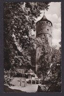 Ansichtskarte Biberach An Der Riß Baden Württemberg Weißer Turm Tierpark - Otros & Sin Clasificación
