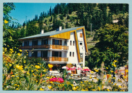 COL DE TURINI - Hôtel-Restaurant LES CHAMOIS **NN - Autres & Non Classés