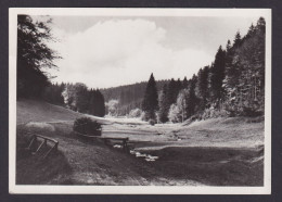 Ansichtskarte Tambach Dietharz Thüringen Thüringer Wald N. Zwickau Sachsen - Autres & Non Classés