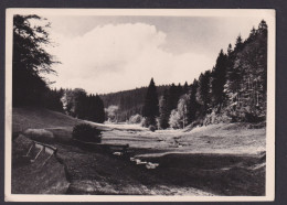 Ansichtskarte Tambach Dietharz Thüringen Apfelstädtgrund Thüringer Wald N. - Altri & Non Classificati