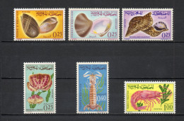 MAROC N°  488 à 493    NEUFS SANS CHARNIERE  COTE 12.00€   COQUILLAGE ANIMAUX FAUNE  VOIR DESCRIPTION - Marruecos (1956-...)