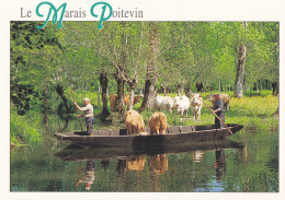 79 Le Marais Poitevin Transport De Vaches En Barque - Sonstige & Ohne Zuordnung