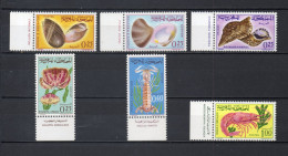 MAROC N°  488 à 493    NEUFS SANS CHARNIERE  COTE 12.00€   COQUILLAGE ANIMAUX FAUNE - Maroc (1956-...)