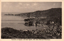 N°2264 W -cpa Panorama Di Rapello - Sonstige & Ohne Zuordnung