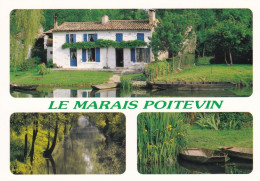 79 Le Marais Poitevin Situé De Part Et D'autre De La Sèvre Niortaise Divers Aspects - Sonstige & Ohne Zuordnung