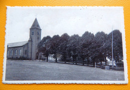 RONSE - RENAIX - LOUISE MARIE -  Kerk  - Eglise - Ronse