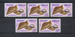 MAROC N°  490  CINQ EXEMPLAIRES   NEUF SANS CHARNIERE  COTE 6.25€    COQUILLAGE ANIMAUX FAUNE - Maroc (1956-...)