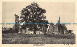 R041283 Byland Abbey. View From S. W. H. M. Office Of Works - World