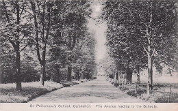 CARSHALTON - St Philomena's School - The Avenue Leading To The Schools - Autres & Non Classés