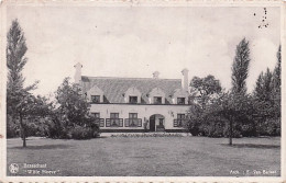 Anvers - BRASSCHAET -  BRASSCHAAT - Witte Hoeve - Brasschaat