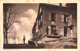 BACHTEL-KULM, ZURICH, RESTAURANT, LAMB, ANIMAL, ARCHITECTURE, SWITZERLAND, POSTCARD - Autres & Non Classés