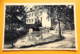 FLOBECQ  -  Le Vieux Château Et L'étang - Flobecq - Vlösberg