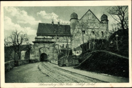 CPA Schwarzburg In Thüringen, Schloss, Portal - Other & Unclassified
