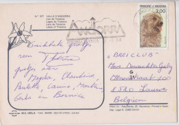 Andorre Andorra Carte Postale Timbre Chien Natura Gos D'Atura Dog Stamp Air Mail Postcard 1988 - Cartas & Documentos