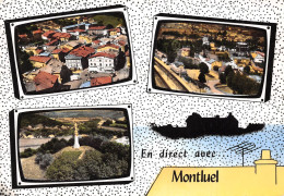 01-MONTLUEL- MULTIVUES - Montluel