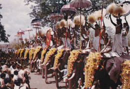 Inde Festival Pooram Trichur Avec Éléphants - Olifanten