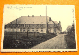 BRUGELETTE  - L'Institut De L'Enfant Jésus - - Brugelette