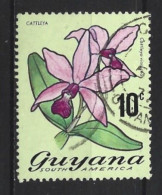 Guyana 1971 Flowers Y.T.  381 (0) - Guiana (1966-...)