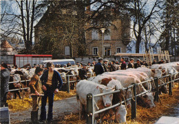 71-TRAMAYES- LA FOIRE AUX BESTIAUX AU FOND LE CHATEAU - Sonstige & Ohne Zuordnung