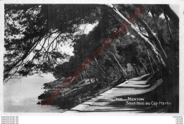 06.  MENTON . Sous Bois Au Cap Martin . - Menton