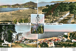 66.  Souvenir De ARGELES SUR MER . - Argeles Sur Mer