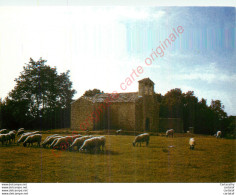 MUSEU TRIAS DE LES GALETES .  SANTA COLOMA DE FARNERS .  LA SELVA .    SANT ISCLE I SANTA VICTORIA DE SAULEDA - Gerona