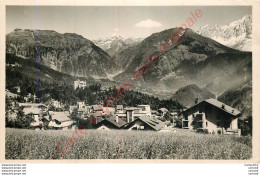 74.  PASSY  ASSY . Vue Générale Et Aiguille Du Midi . - Passy