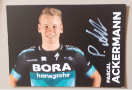 Autographe Pascal Ackermann Bora Hansgrohe - Radsport