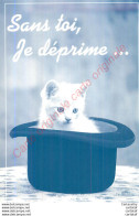 Sans Toi Je Déprime . ( Chats ) .Collection Par Mi Nou ... - Cats