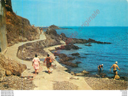 66.  COLLIOURE .  Les Rochers Au Pied Du Château Fort . - Collioure