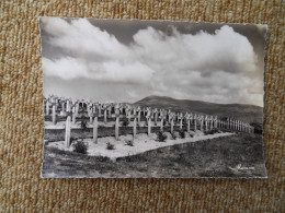 KB11/1012-Vieil Armand Coin Du Cimetière National Avec Vue Sur Le Grand Ballon - Autres & Non Classés