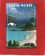 AMERIQUE---ANTILLES--VIERGES--CORAL WORLD--voir 2 Scans - Virgin Islands, US