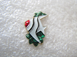 PIN'S      ANIMAUX  POISSON - Animals