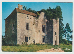 58 - Nièvre / CHAMPLEMY -- Le Vieux Château. - Autres & Non Classés