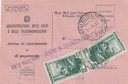 AVVISO RICEVIMENTO 1953 2X10 TIMBRO VITERBO MONTALTO DI CASTRO (XT3679 - 1946-60: Marcofilie