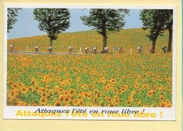 Cyclisme : Saint-Gaudens – Castres / Tour De France 1991 (voir Scan Recto/verso) - Cycling