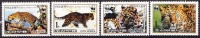 North Korea 1998 Yvert 2801/04, WWF, Fauna Protection, Panther, MNH - Korea (Nord-)