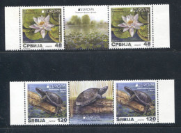 Serbia 2024. EUROPA, Underwater Fauna And Flora, Water Lily, Turtle, Middle Row, MNH - Tortues