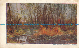 R041424 Berkshire Brook In Autumn. W. H. Hearst - World