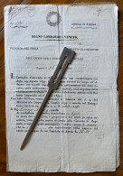 LOMBARDO VENETO - FRIULI - PORDENONE - ZOPPOLA 25/11/1854 - DELIBERAZIONE DEL CONSIGLIO COMUNALE ...4 Pag. - Historical Documents